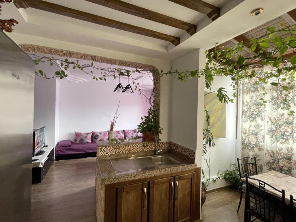 Cite Jardins Appartement 迈尔提勒 外观 照片
